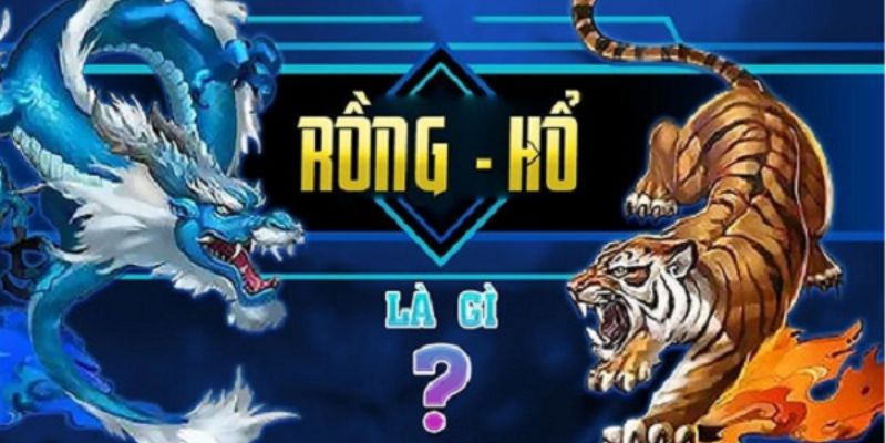 Ý nghĩa của Rồng và Hổ trong văn hóa